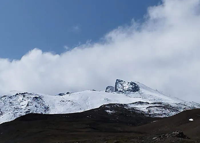 Alcazaba Lägenhet *